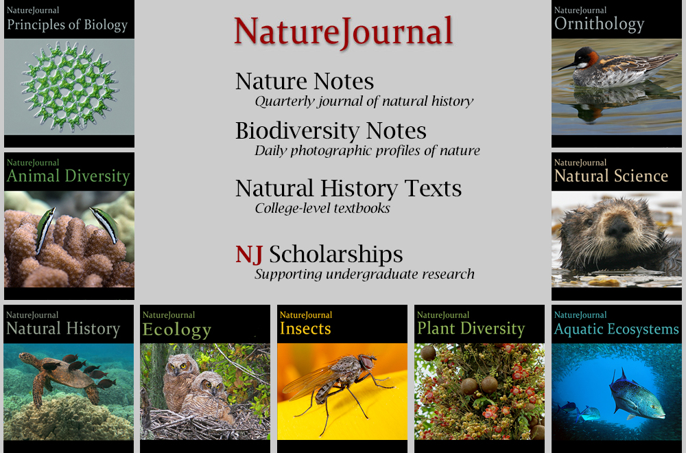  Nature Journal 